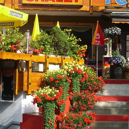 Primavera מלון 2*